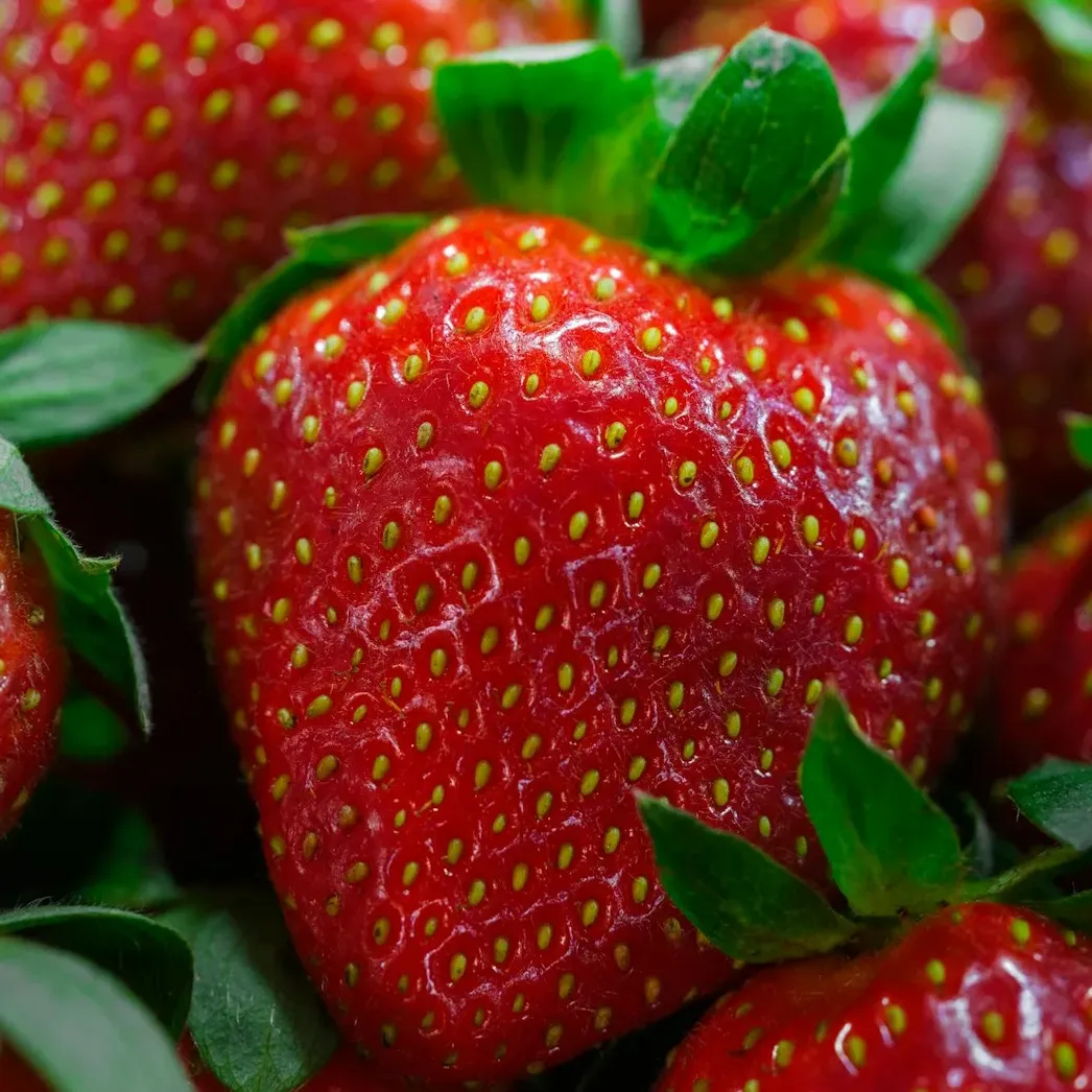 a close up of a bunch of strawberries