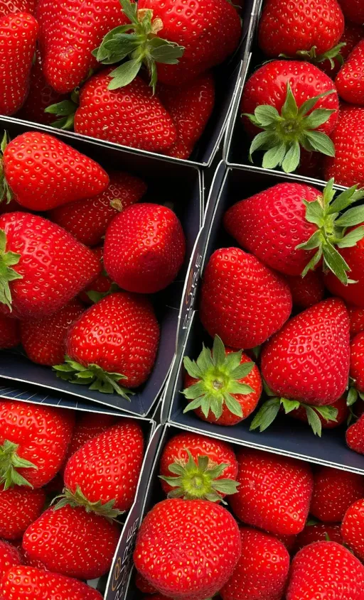 Footprint of strawberries
