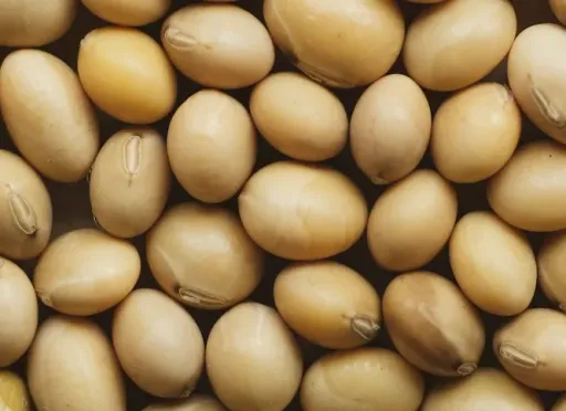 A close up of a pile of nuts