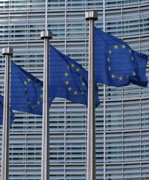 blue and white flags on pole