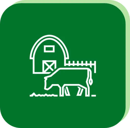 animal production footprint engine