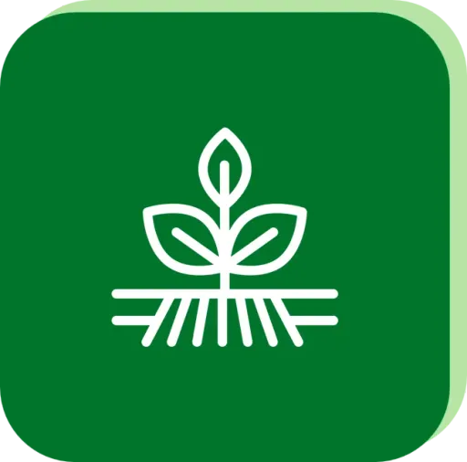Crop footprint engine