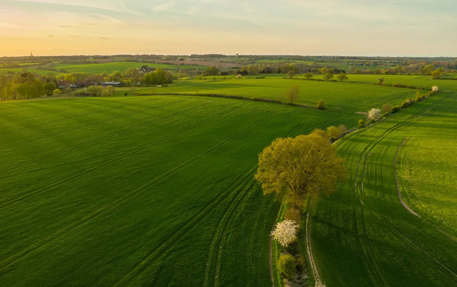 What's new in Agri-footprint