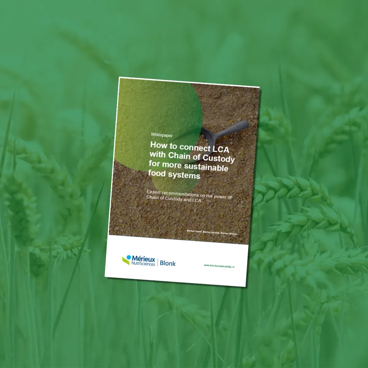 Whitepaper Chain of Custody and LCA